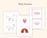 The Body Function Material