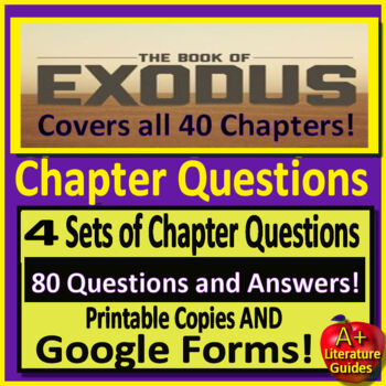 Preview of The Book of Exodus Bible Study - Chapter Questions: Printable & GOOGLE FORMS!