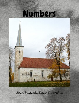 Preview of The Book of Numbers Guide