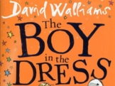 The Boy in the Dress reading intervention KS3