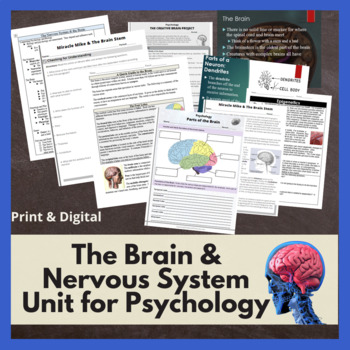 Preview of The Brain, Biology, Neuroscience, and Nervous System Unit Bundle for Psychology