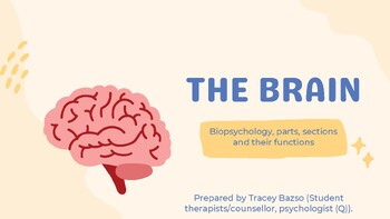 Preview of The Brain: Biopsychology, parts, sections and their functions.
