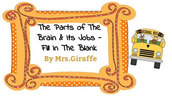 Preview of The Brain: Its parts and their jobs