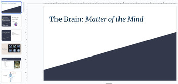 Preview of The Brain: Matter of the Mind PPT Lesson