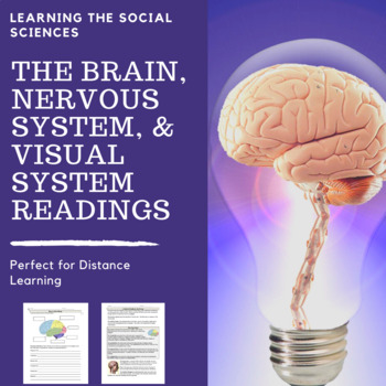 Preview of The Brain, Nervous System, & Visual System Distance Learning Materials