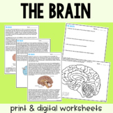 The Brain - Reading Comprehension Worksheets