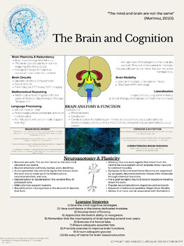 Preview of The Brain and Cognition