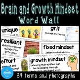 The Brain and Growth Mindset Word Wall - 34 terms with ima