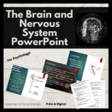 The Brain and Nervous System PowerPoint for Psychology wit