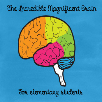 Preview of The Brain for Elementary Students