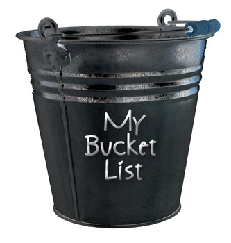 Preview of The Bucket List