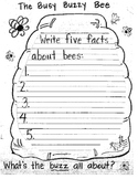 The Busy Buzzy Bee Packet- All About Bees