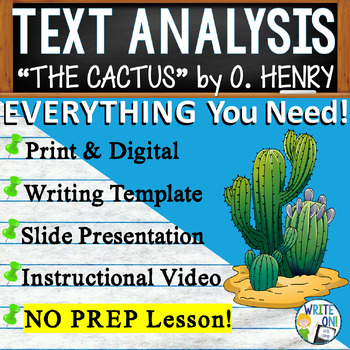 essay typer cactus