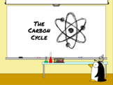 The Carbon Cycle