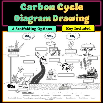 Carbon Cycle Drag and Drop