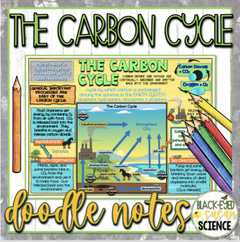 Preview of The Carbon Cycle Doodle Notes & Quiz