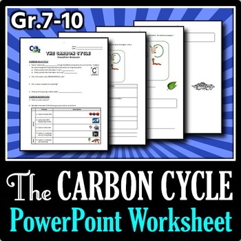 Preview of The Carbon Cycle - PowerPoint Worksheet {Editable}