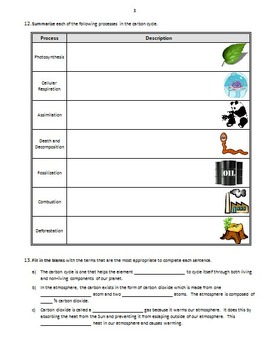 The Carbon Cycle - Review Worksheet Editable by Tangstar Science