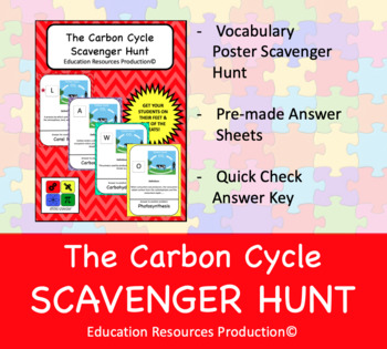 Preview of The Carbon Cycle Scavenger Hunt Activity