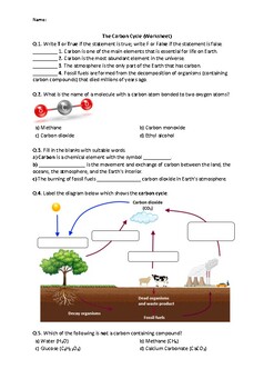 Preview of The Carbon Cycle - Worksheet | Printable and Distance Learning