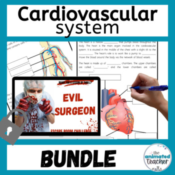 Preview of The Cardiovascular System Activities and Stations Bundle Middle School