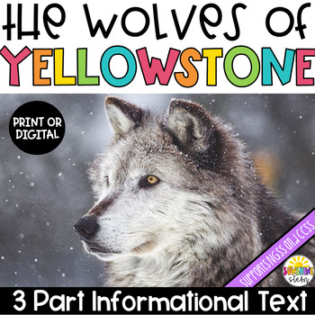 Preview of Yellowstone Wolves - 3 Part Informational Text