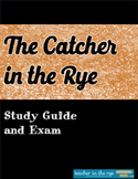 The Catcher in the Rye Study Guide, Exam, and In-Class Ess