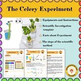 The Celery Experiment | Scientific Method | Science Fair P