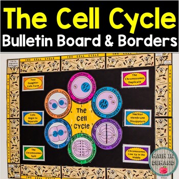 Preview of The Cell Cycle Bulletin Board & Borders Science Classroom Decorations