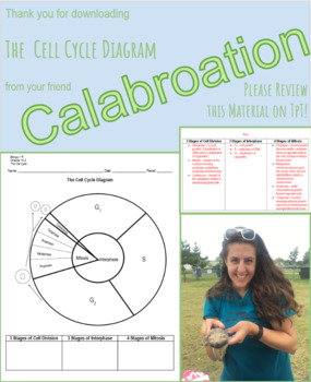 Preview of The Cell Cycle Diagram