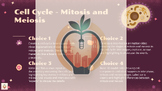 The Cell Cycle: Mitosis and Meiosis