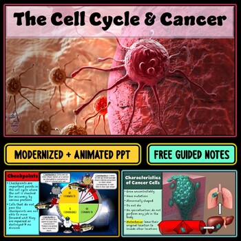 Preview of The Cell Cycle and Cancer Animated PowerPoint Slideshow
