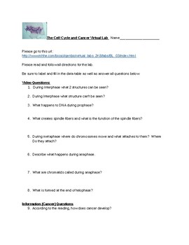 mitosis virtual lab the cell cycle and cancer worksheet answers