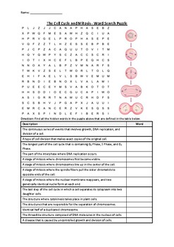 Preview of The Cell Cycle and Mitosis - Word Search Puzzle Worksheet Activity (Printable)