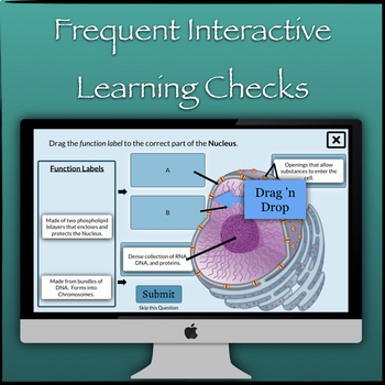 The Cell Interactive Elesson Distance Learning By James Gonyo Tpt