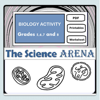 Preview of The Cell Structure and Functions ACTIVITY Worksheet - FREE (Science, Biology)