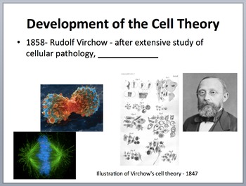 The Cell Theory - An Introduction - PowerPoint Lesson and Student Notes ...