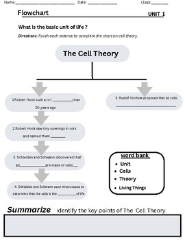Preview of The Cell Theory- Flowchart