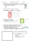 The Cell worksheet