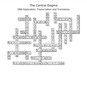 The Central Dogma Crossword Dna Replication Transcription And Translation