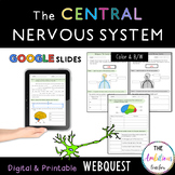 The Central Nervous System WebQuest | Brain & Spinal cord 