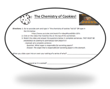 Preview of The Chemistry of Cookies - TED ED - Holiday Science Worksheet (Editable)