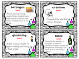 The Chocolate Touch Vocabulary Cards (Large/Small)