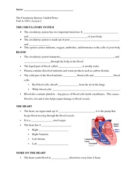 Preview of The Circulatory System Guided Notes