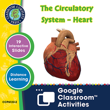 Preview of The Circulatory System – Heart - Google Slides Gr. 5-8