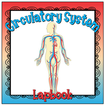 The Circulatory System Lapbook by The LapBook Lady | TPT