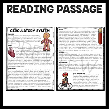 The Circulatory System Overview Reading Comprehension Worksheet | TpT