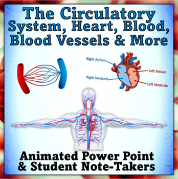 Preview of The Circulatory System - Power Point Presentation and Note-Taker
