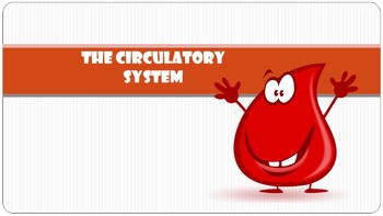 Preview of The Circulatory System PowerPoint