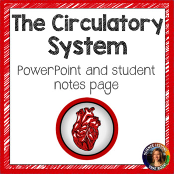Preview of The Circulatory System